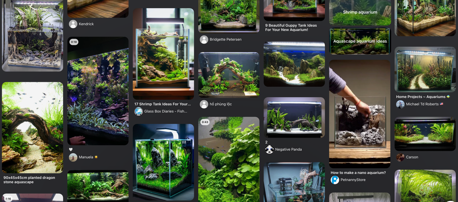 Feed preview