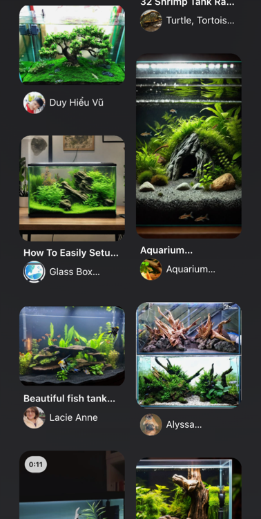 Feed preview mobile